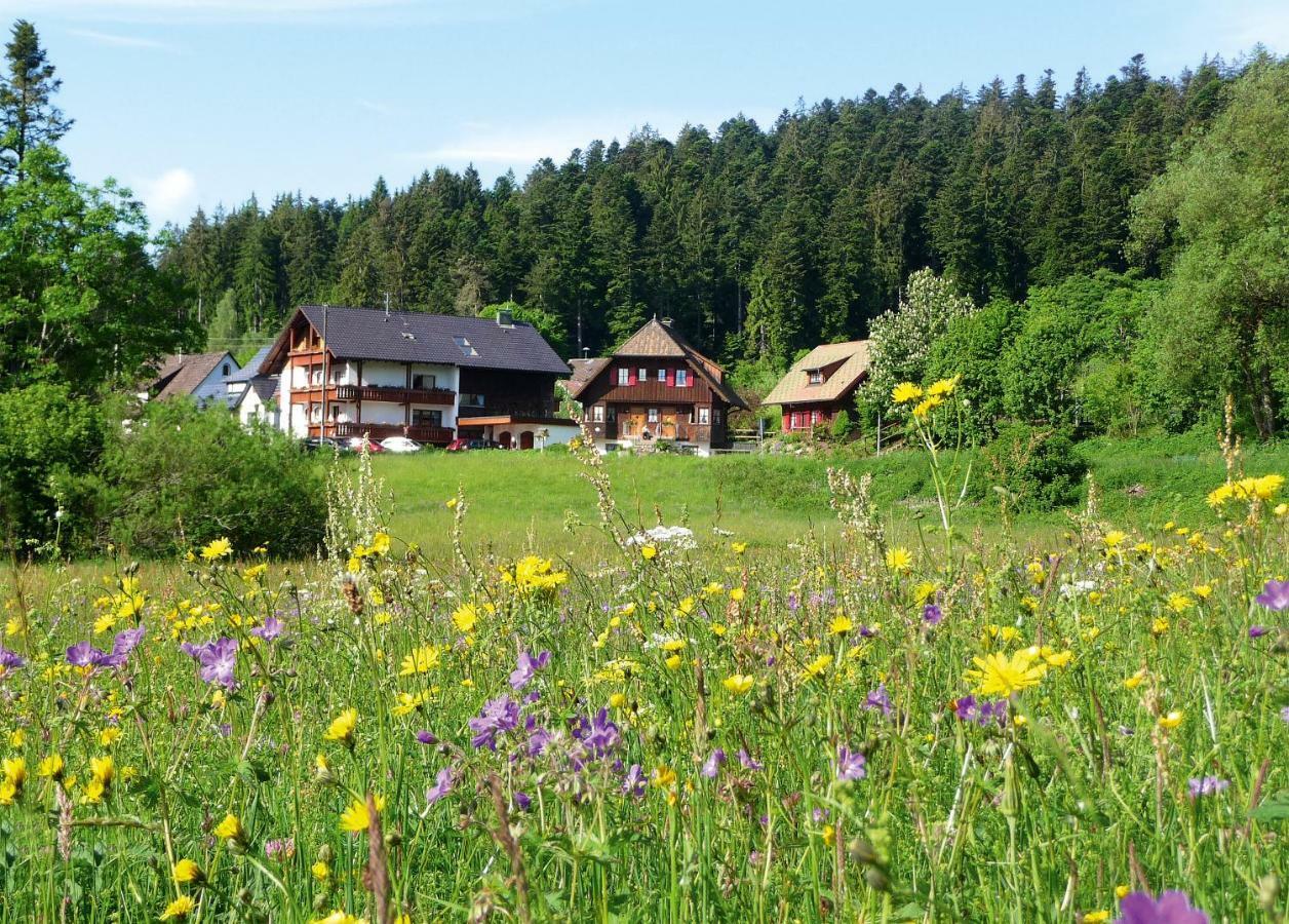Landhaus Anja ฟรอยเดนชตัดท์ ภายนอก รูปภาพ